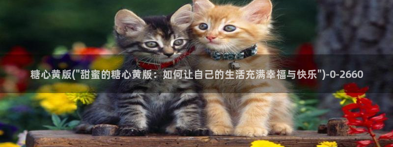 糖心vlog色破解版：糖心黄版(\
