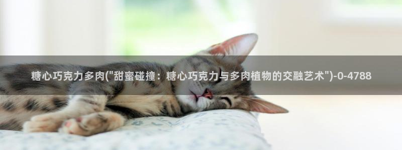 糖心 vlog御梦子：糖心巧克力多肉(\