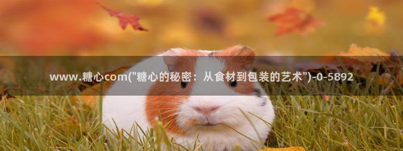 糖心vlog视频app