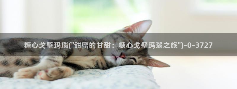 心糖vlog完整版免费观看