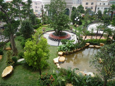 拍摄剪辑技巧VLOG文章介绍